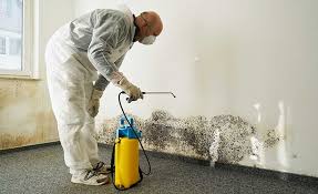 Why You Should Choose Our Mold Remediation Services in Wilkshire Hills, OH